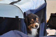 Nadja_schule_2 19.jpg