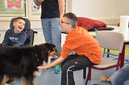 Sam im Einsatz